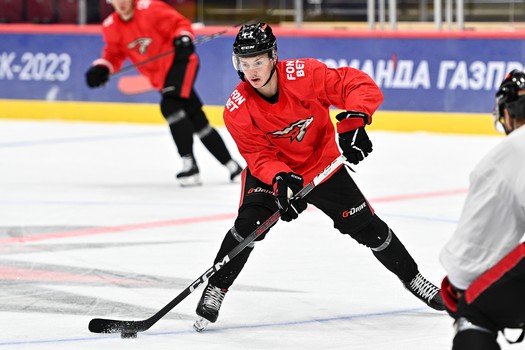 Двусторонка «Авангарда»