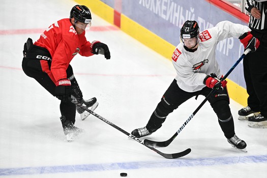 Двусторонка «Авангарда»