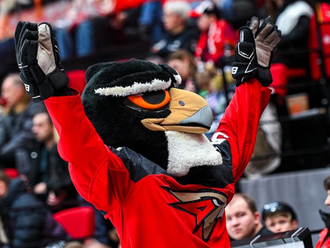 «Авангард» - «Амур» 2:1. Вокруг матча