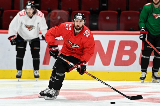 Раскатка «Авангарда» перед матчем с «Салаватом Юлаевым»