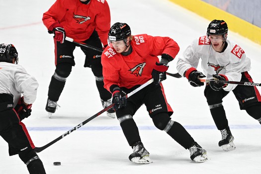 Двусторонка «Авангарда»