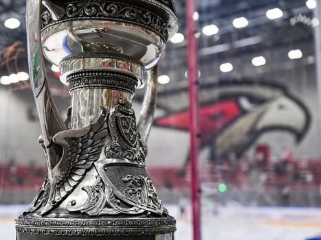 Полуфиналы и матчи за 5-8 места Первенства ЮХЛ в Омске