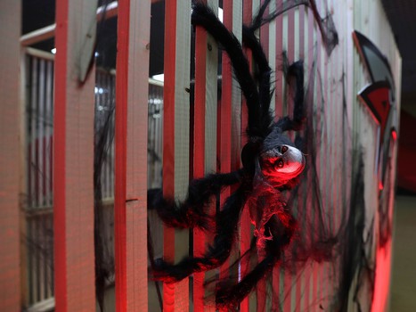 01.11.2019. «Авангард» - «Амур» 3:2