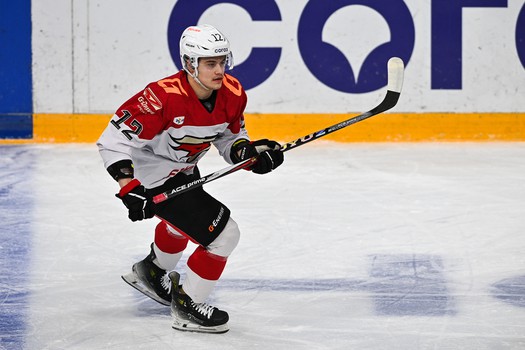 02.02.2025. «Динамо» Мн - «Авангард» 4:5 Б