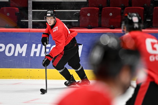 Двусторонка «Авангарда»