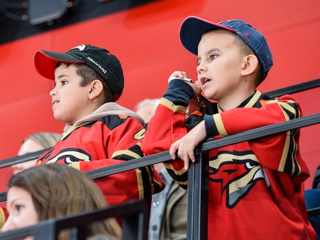 «Авангард» - «Металлург» 5:1. Вокруг матча