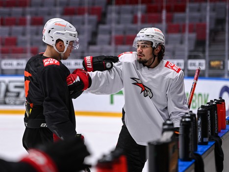 Раскатка «Авангарда» перед матчем в Сочи