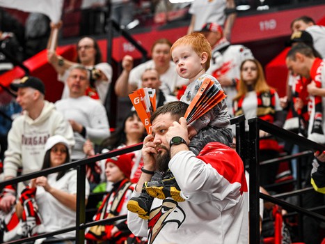 «Авангард» - «Металлург» 3:0. Вокруг матча