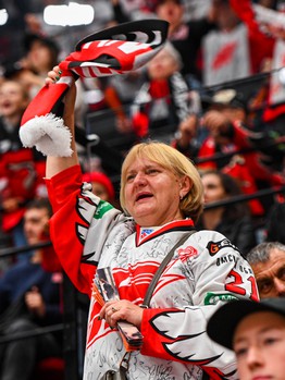 «Авангард» - «Нефтехимик» 5:1. Вокруг матча