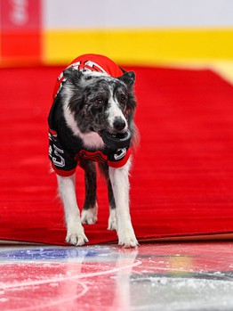 05.12.2023. «Авангард» - «Барыс» 5:1