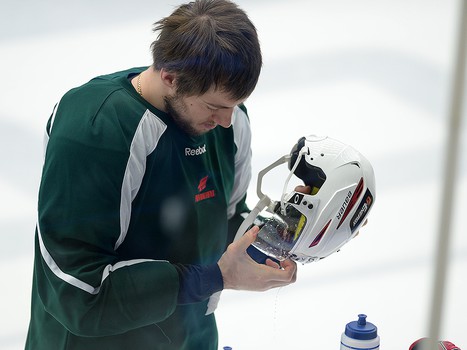 Раскатка "Авангарда" перед матчем с "Витязем"  5 января 2014 г.