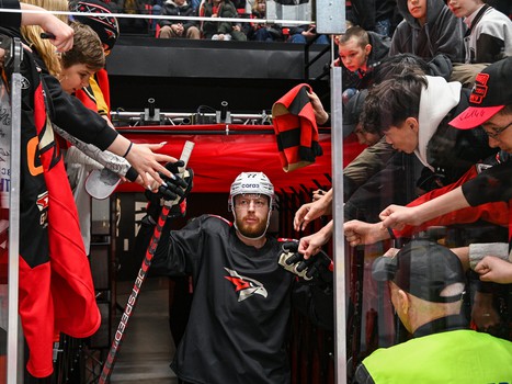 Открытая тренировка «Авангарда» перед финалом Востока