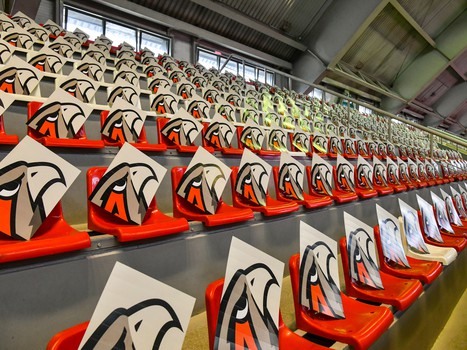 01.09.2019. Фан-зона «Авангарда» на «Красной Звезде»