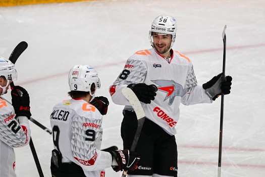 25.11.2025. «Нефтехимик» - «Авангард» 6:5