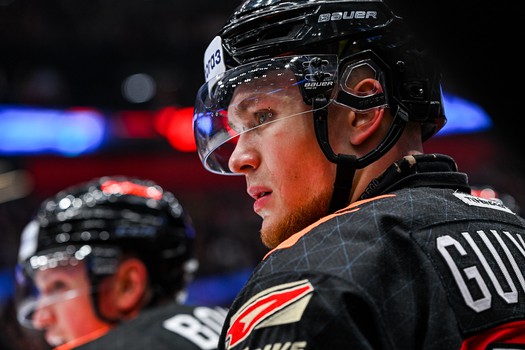 06.02.2024. «Авангард» - СКА 9:5