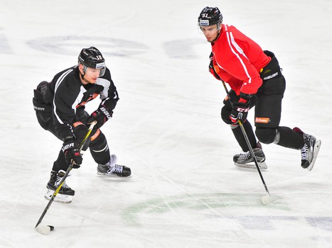 Открытая тренировка "Авангарда" для СМИ