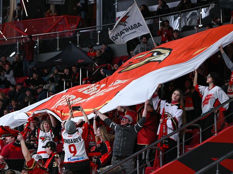 «Авангард» - «Металлург» 5:1. Вокруг матча