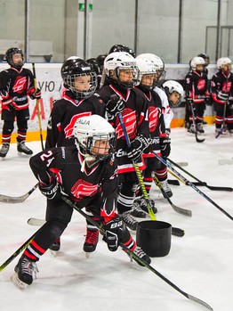Новогодний праздник в хоккейной школе "Авангард"