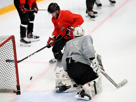 Снова на льду. «Авангард» вернулся к работе