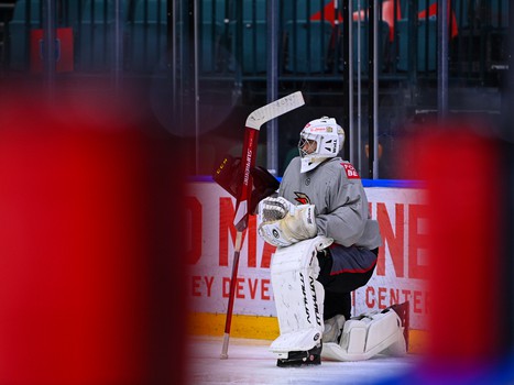 Раскатка «Авангарда» перед матчем с «Сибирью»