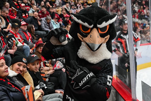 «Авангард» - «Амур» 3:4. Вокруг матча