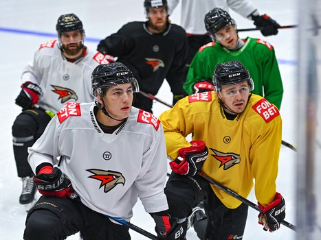 Открытая тренировка «Авангарда»