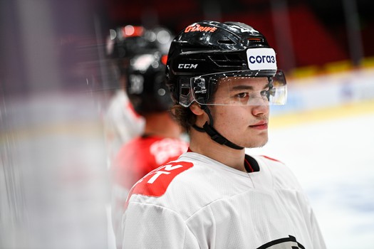 Раскатка «Авангарда» перед матчем с «Ак Барсом»