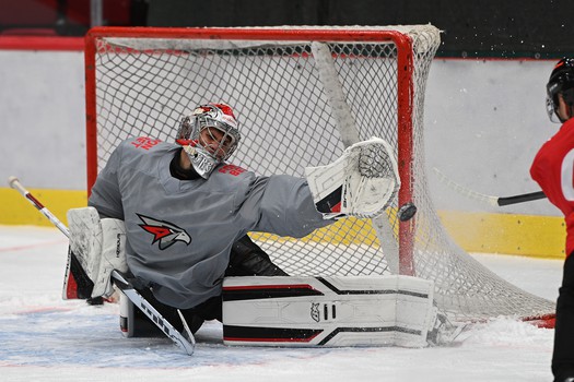 Тренировка «Авангарда»