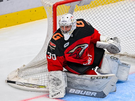 17.02.2024. «Авангард» - «Металлург» 3:0