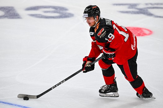 29.11.2023. «Авангард» - «Витязь» 4:1