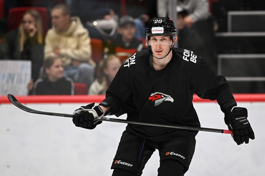 Открытая тренировка «Авангарда»