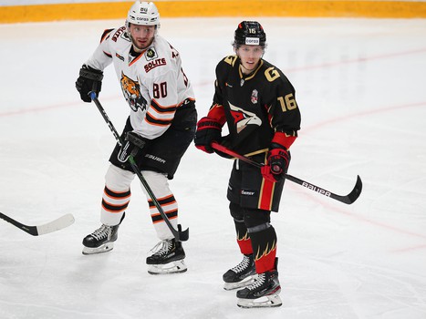 26.11.2020. «Авангард» - «Амур» 4:2