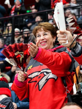 «Авангард» - «Витязь» 3:1. Вокруг матча