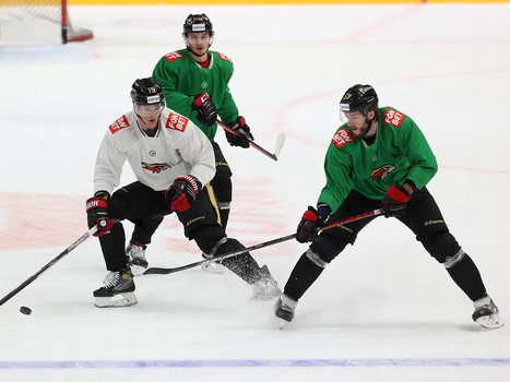 Тренировка «Авангарда» перед матчем с «Нефтехимиком»