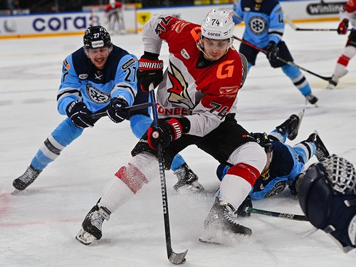 День игры: 16 декабря, 18:30 (омск.вр.) «Сибирь» - «Авангард»