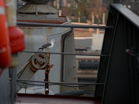 "Авангард" побывал с экскурсией на БПК "Маршал Шапошников"