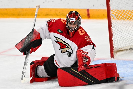 06.11.2023. «Динамо» Мн - «Авангард» 3:4 Б