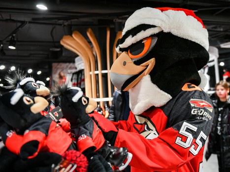 «Авангард» - «Барыс» 5:2. Вокруг матча