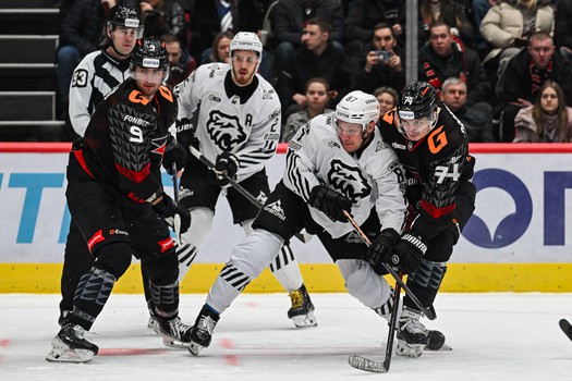 29.01.2026. «Авангард» - «Трактор» 1:0