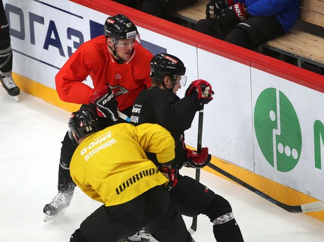 Открытая тренировка «Авангарда» для прессы и болельщиков