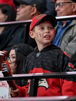 «Авангард» - «Амур» 2:1. Вокруг матча