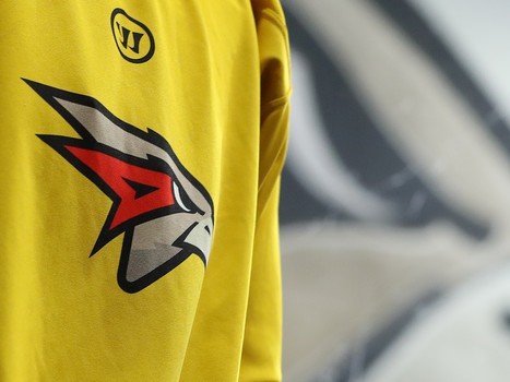 Раскатка «Авангарда» перед пятым матчем серии с «Автомобилистом»