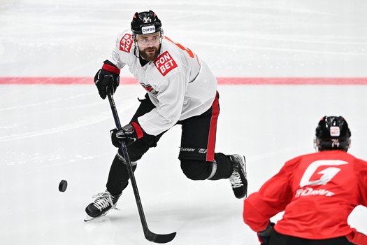 Двусторонка «Авангарда»