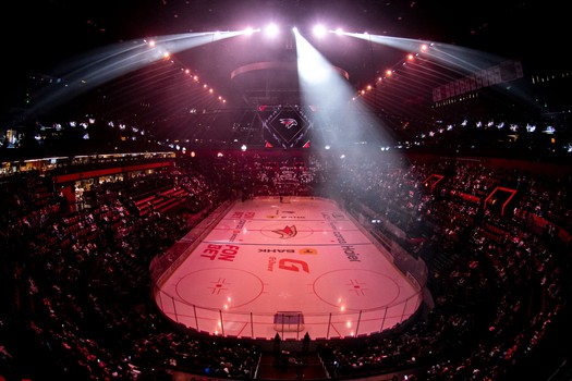 «Авангард» - «Динамо» Мн 5:4 Б. Вокруг матча