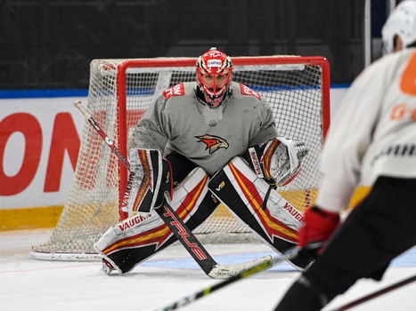 Тренировка «Авангарда» перед матчем в Новосибирске