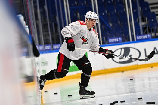 Раскатка «Авангарда» перед матчем в Уфе