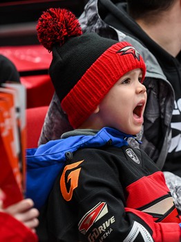 «Авангард» - «Салават Юлаев» 2:4. Вокруг матча