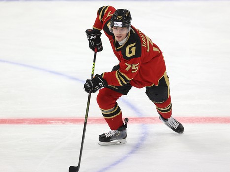 19.11.2021. «Авангард» - «Металлург» Мг 4:2