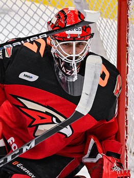 25.01.2023. «Авангард» - «Трактор» 2:4