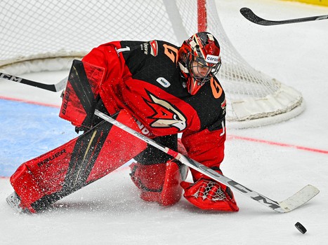 12.11.2023. «Авангард» - «Куньлунь Ред Стар» 6:4